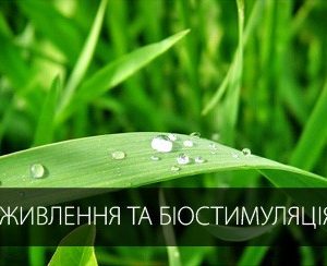 ЖИВЛЕННЯ ТА БІОСТИМУЛЯЦІЯ РОСЛИН