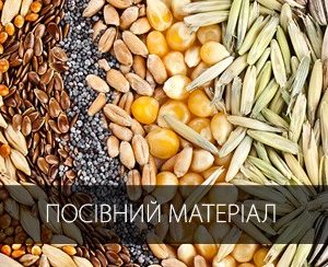 ПОСІВНИЙ МАТЕРІАЛ
